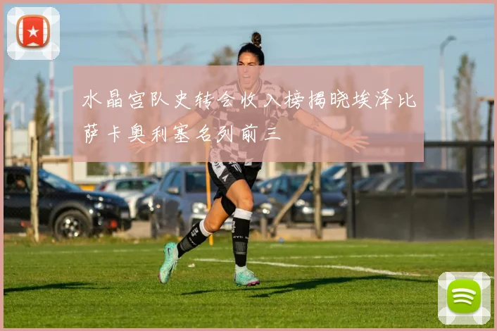 水晶宫队史转会收入榜揭晓埃泽比萨卡奥利塞名列前三